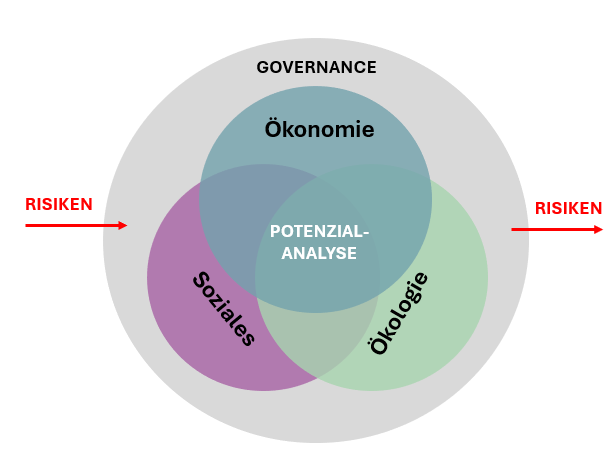 Auszug aus dem Portfolio des Sustainable Hidden Champions Equity Fonds.